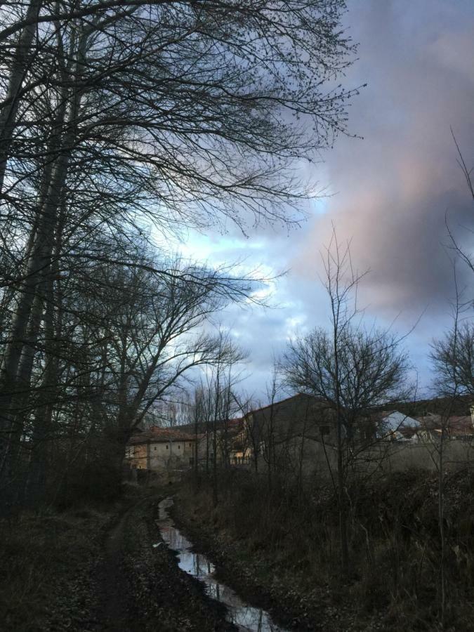 El Jardin De Manuela Villa Santibanez del Val Eksteriør bilde