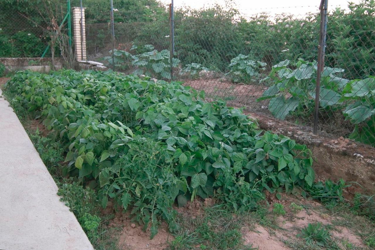 El Jardin De Manuela Villa Santibanez del Val Eksteriør bilde
