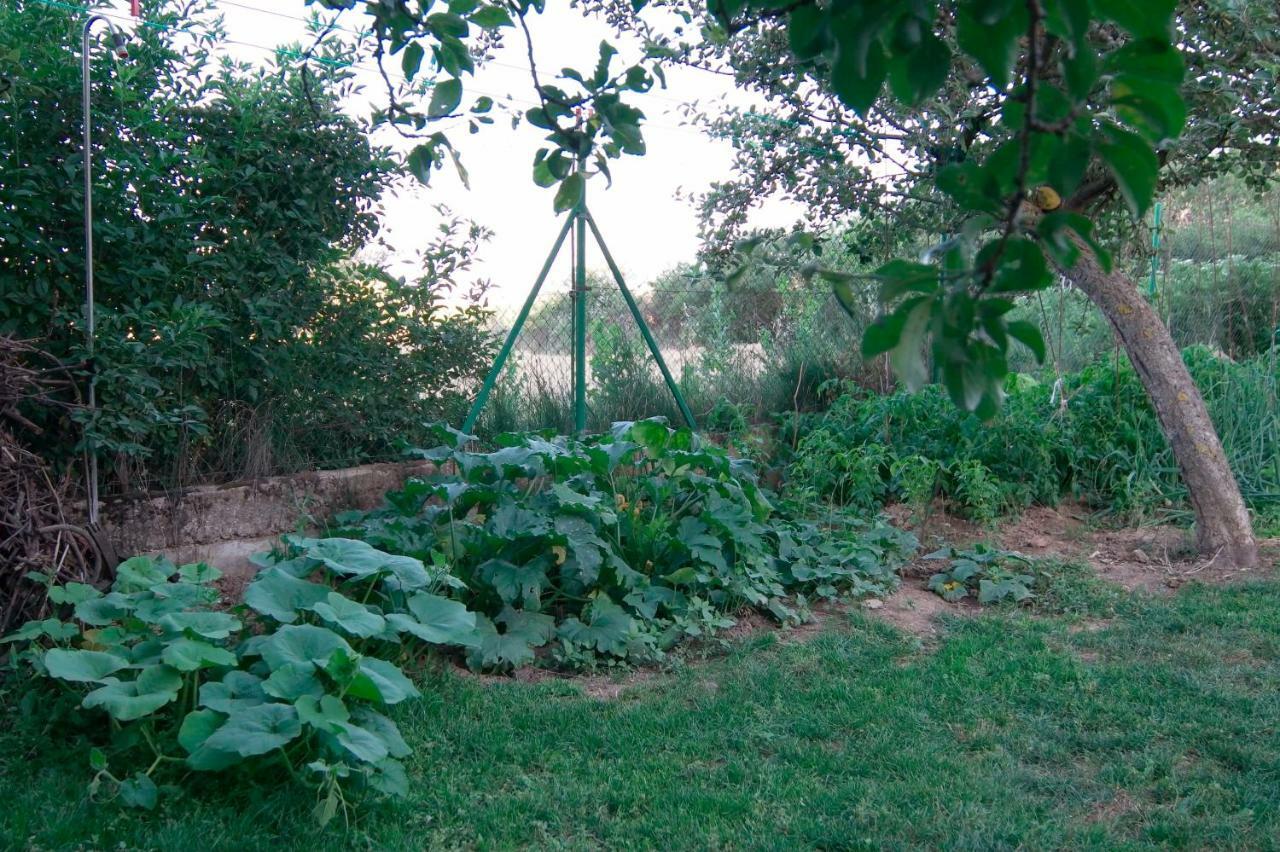 El Jardin De Manuela Villa Santibanez del Val Eksteriør bilde